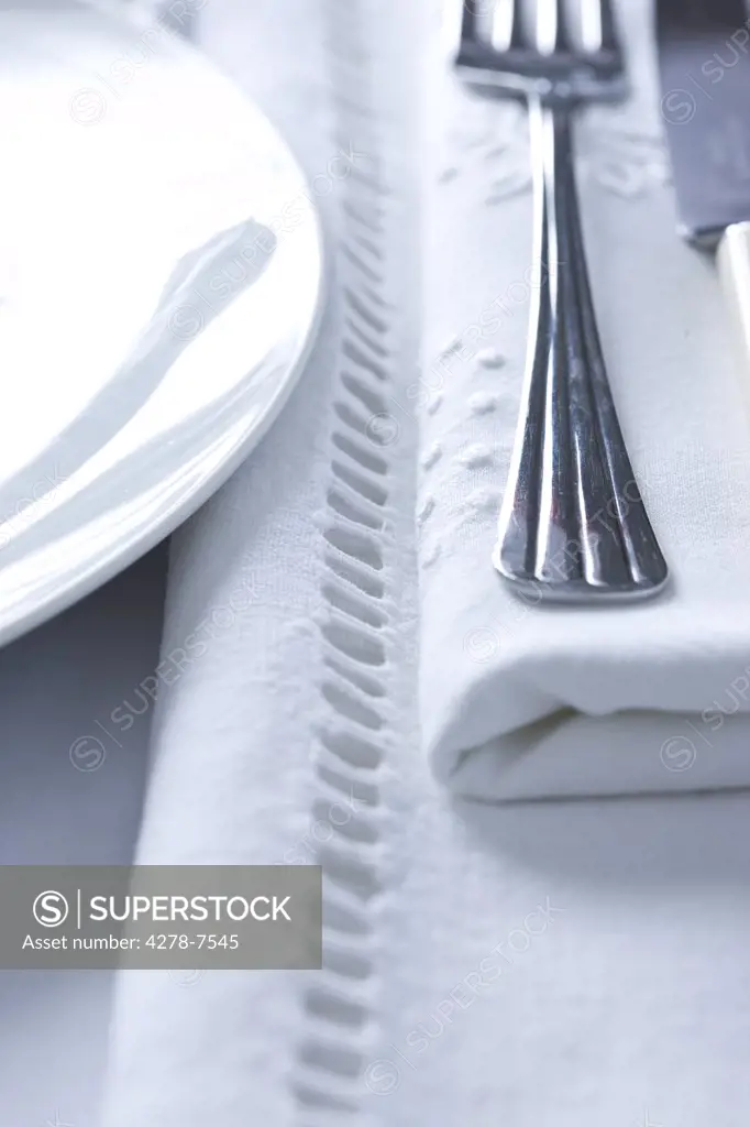 Place Setting - Close-up view