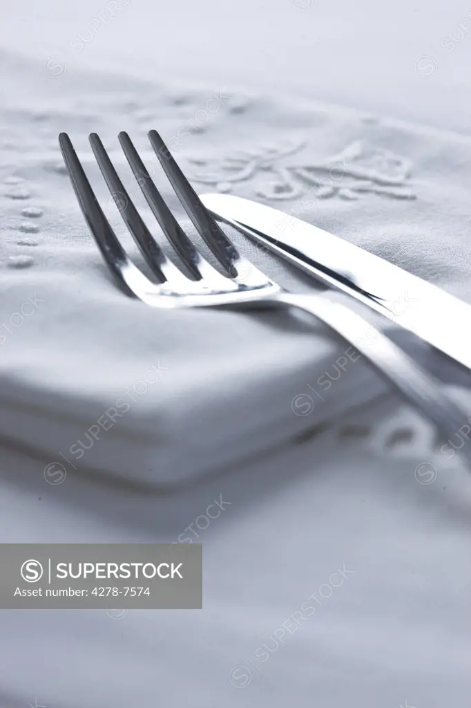 Knife and Fork on Embroidered Cloth Napkin