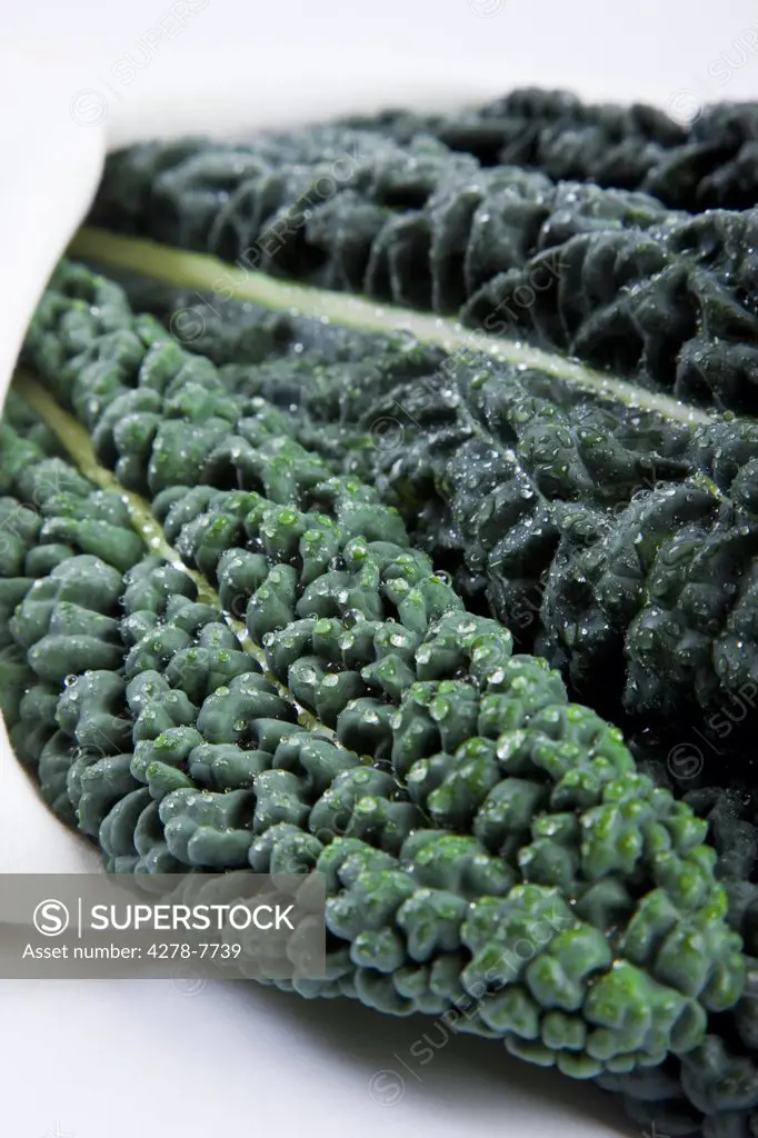 Cavolo Nero Leaves Wrapped in a Cloth