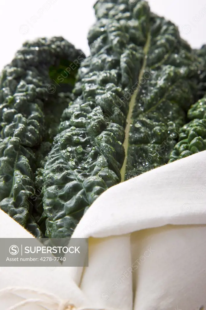 Cavolo Nero Leaves Wrapped in a Cloth