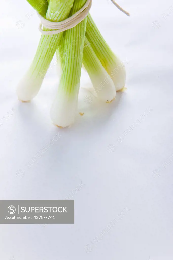 Bundle of Spring Onions Tied up with String