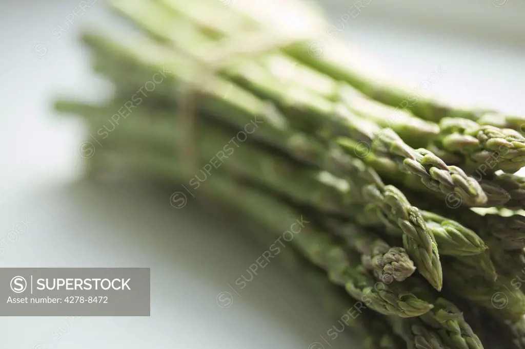 Bundle of Asparagus