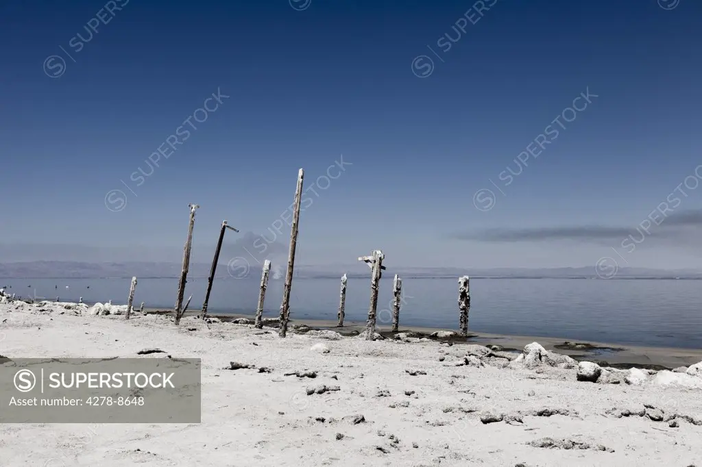 Salt Encrusted Wood Poles by Lakeshore