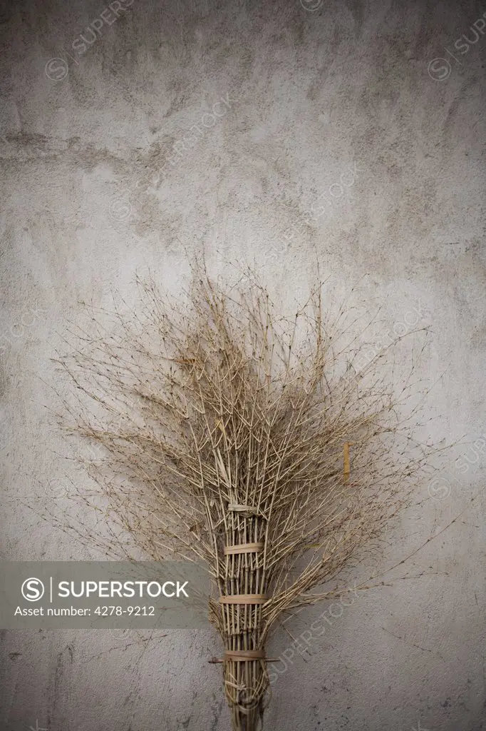 Rudimentary Bamboo Broom Leaning against Wall