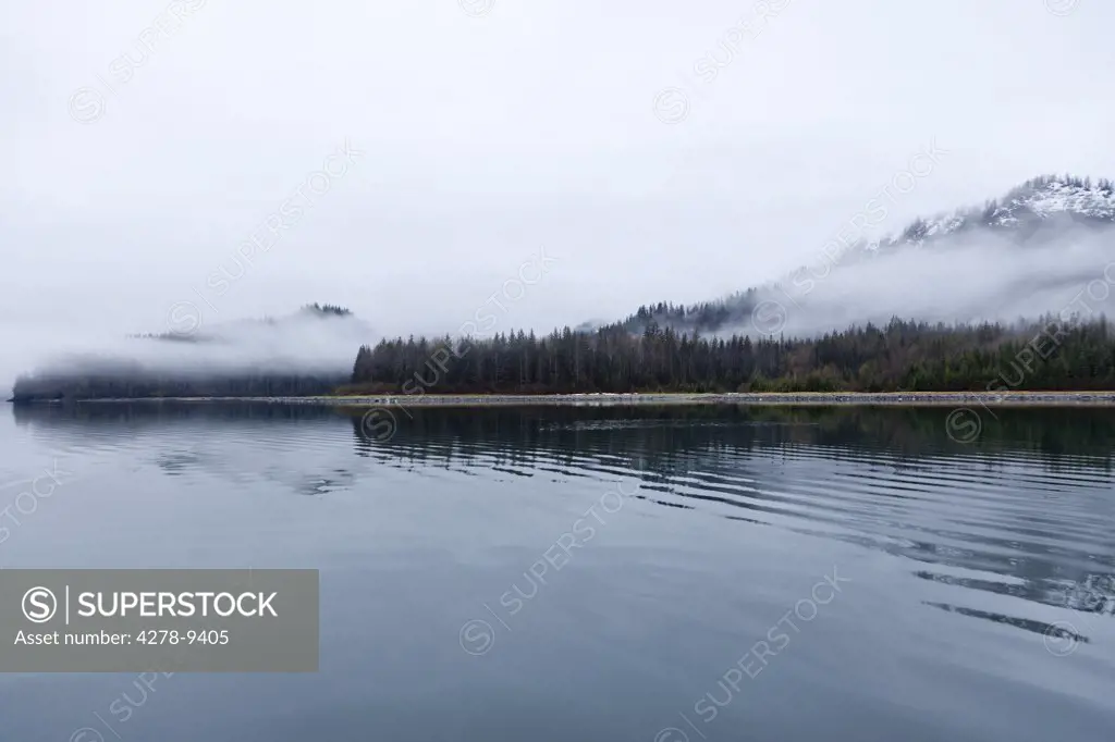 Shoreline Shrouded in Fog, Glacier Bay, Alaska, USA