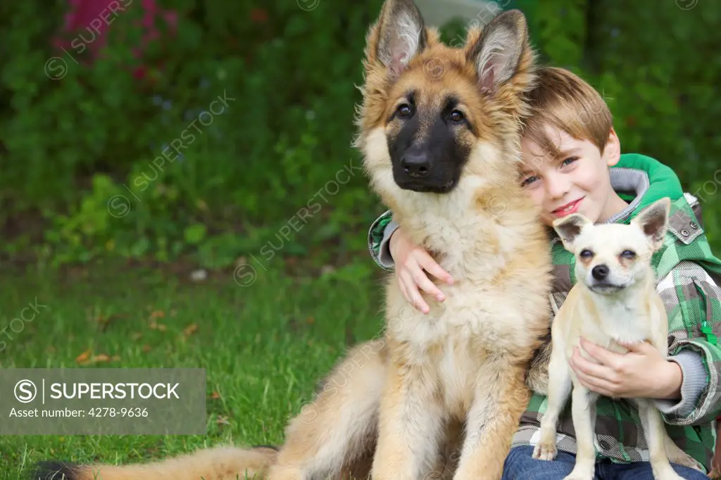 Boy Hugging Two Dogs