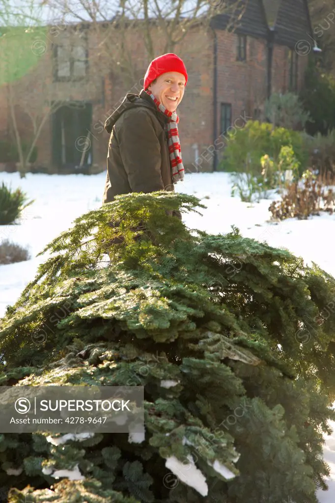 Smiling Man Dragging Christmas Tree