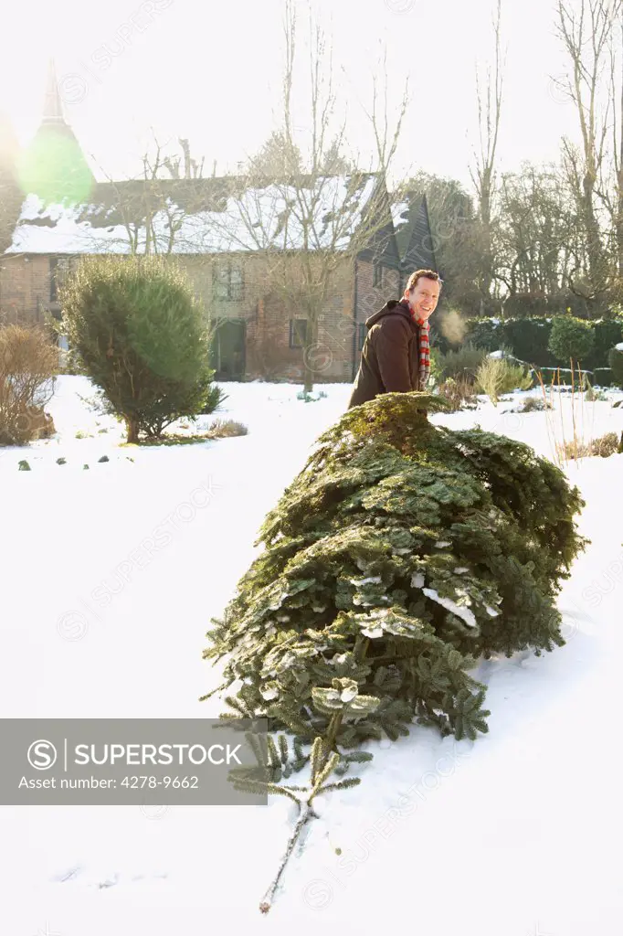 Man Dragging Christmas Tree on Snow