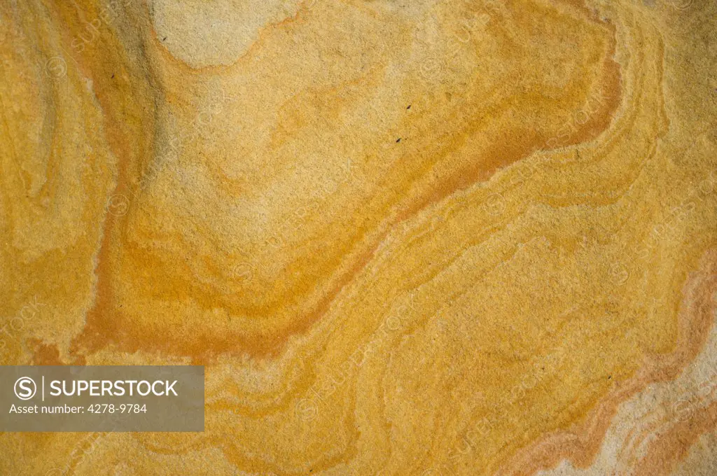 Detail of Limestone Rock Surface