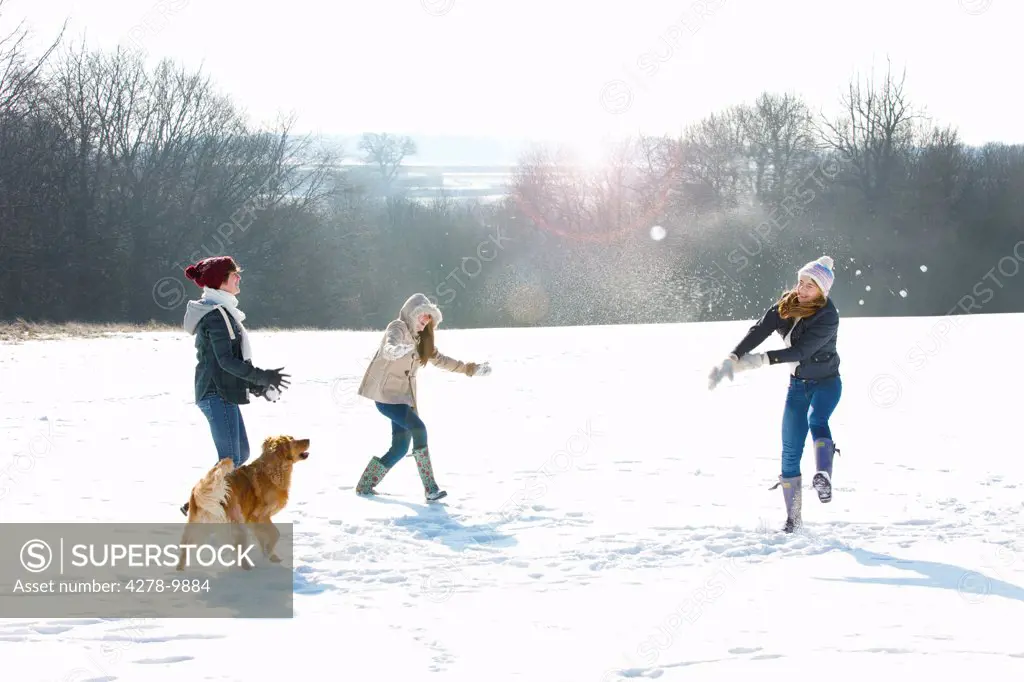 Teenage Girls and Dog in Snowball Fight