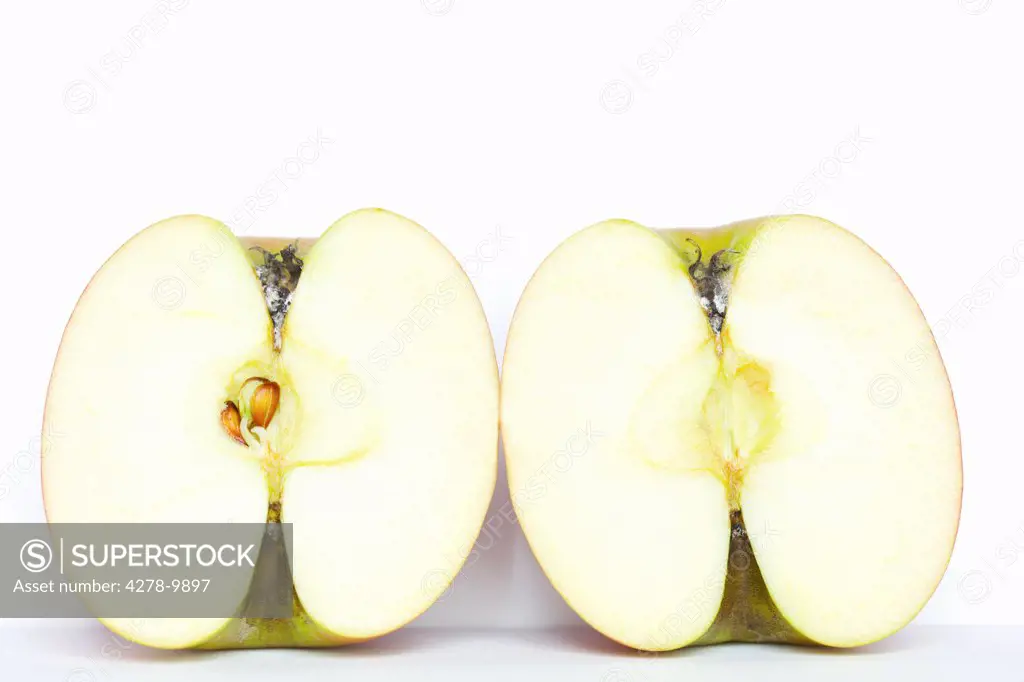 Apple Halves