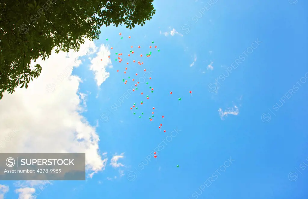 Balloons Flying in a Cloudy Blue Sky