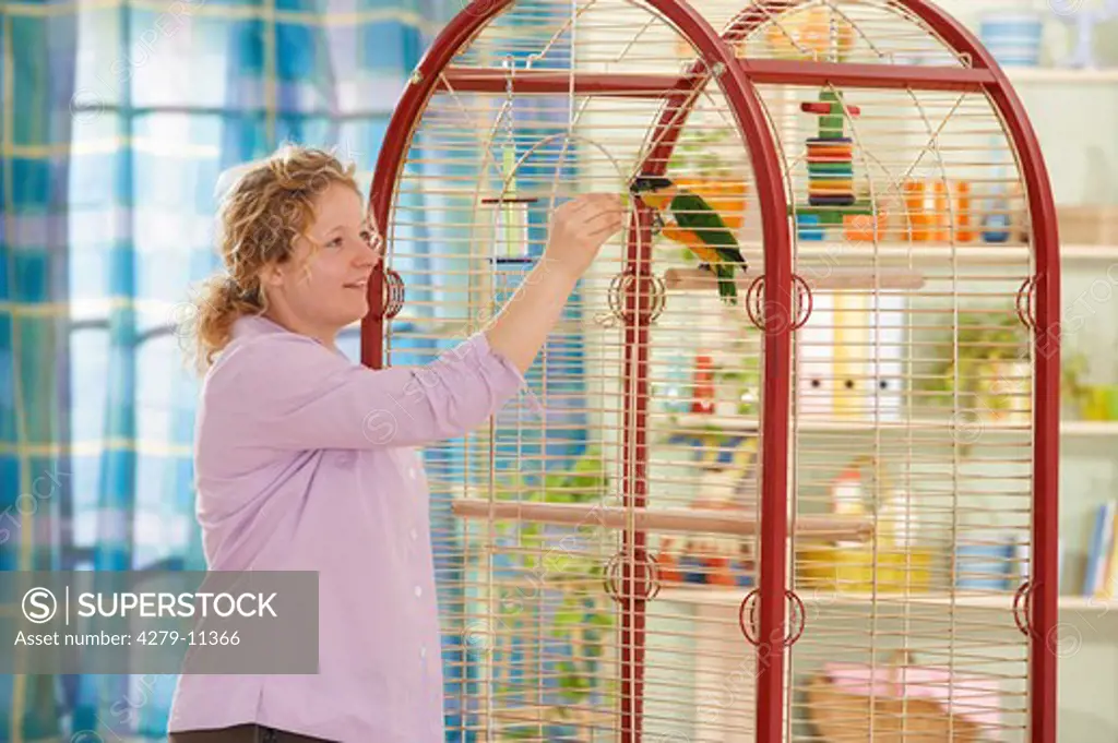 Black-headed Caique in cage - getting feed from a woman, Pionites melanocephala
