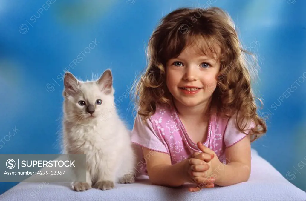 girl and young Ragdoll cat