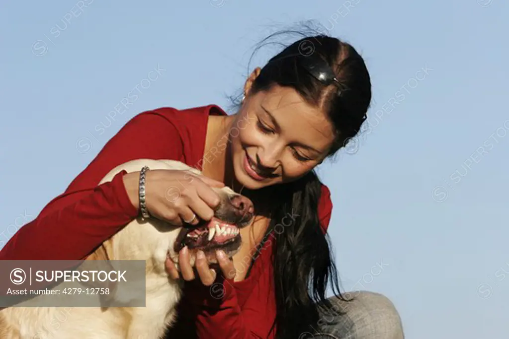 young woman checking dentition from a Labrador