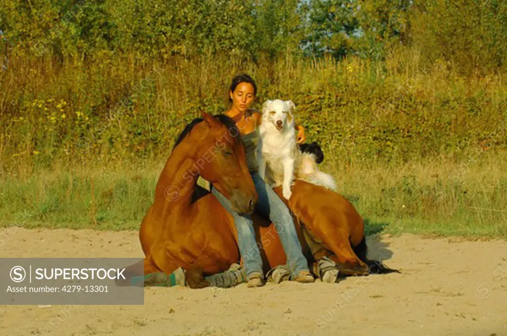 Quarter horse with woman and Australian Shepherd