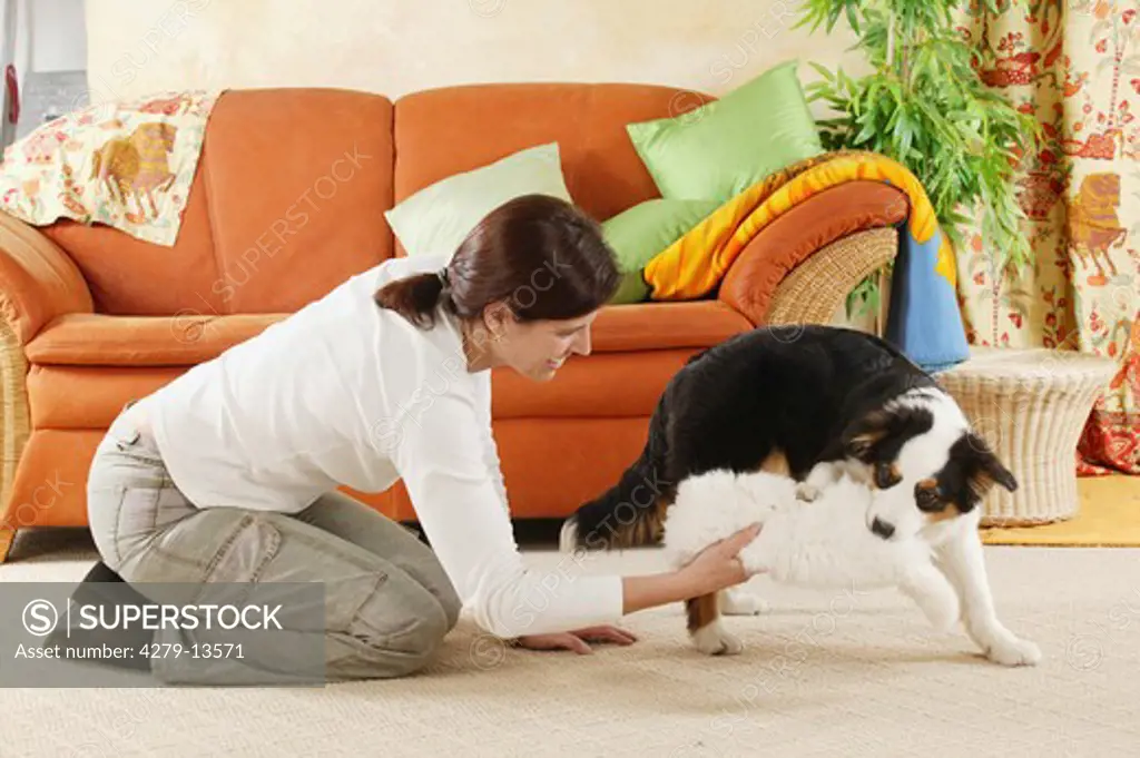 woman playing with young Border Collie dog