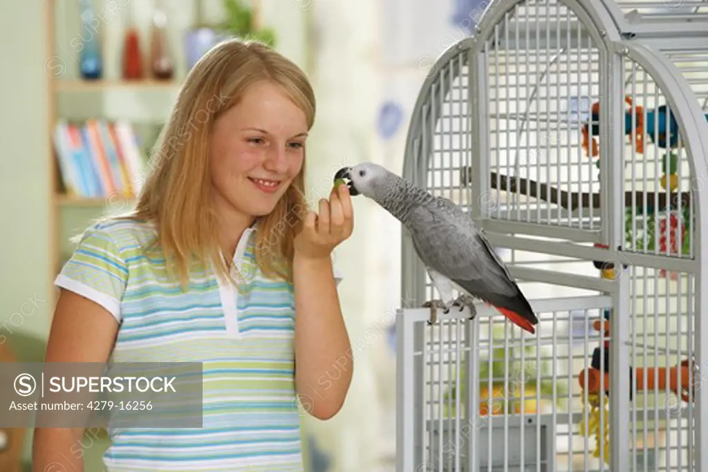 Congo African Grey parrot at cage - girl standing beside, Psittacus erithacus
