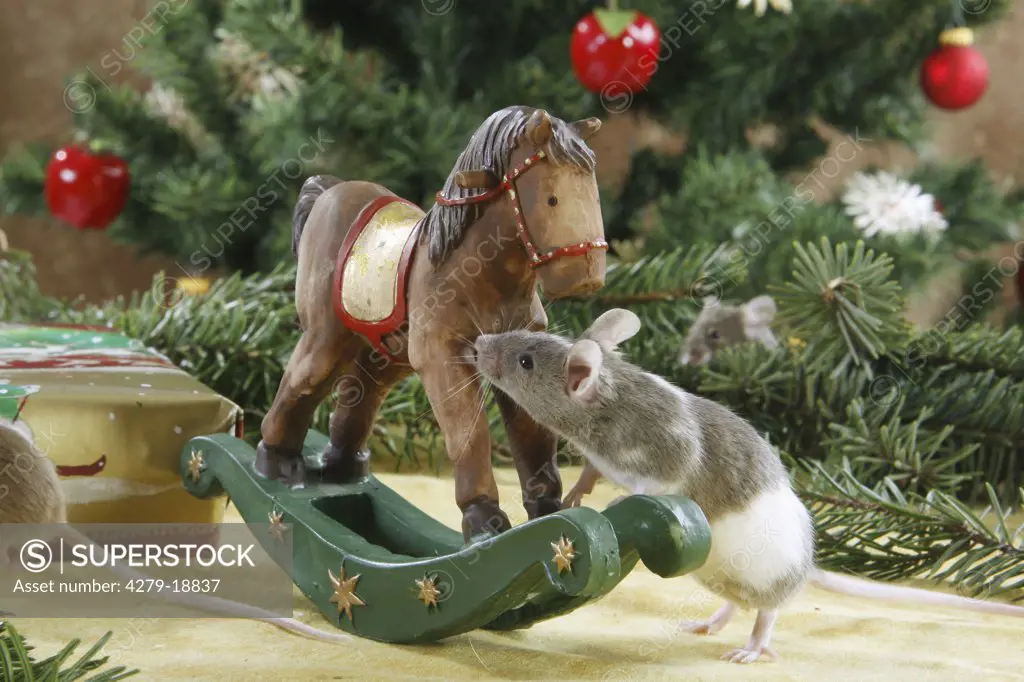 christmas : fancy mouse - at rocking horse
