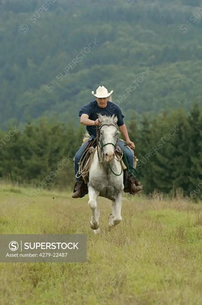 rider on horse