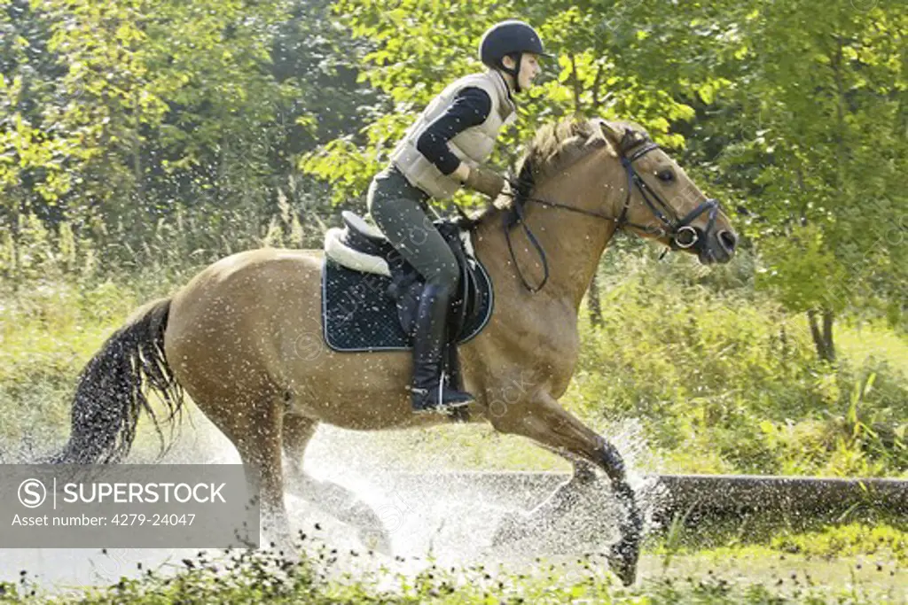 Young lady rider galloping through water
