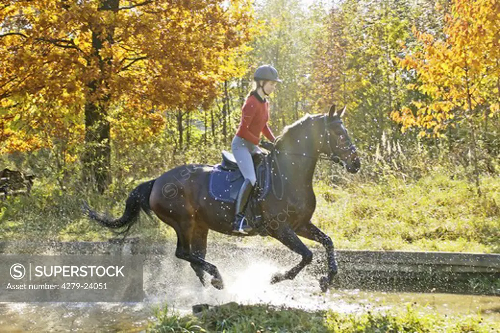 Young lady on back of German horse riding in water