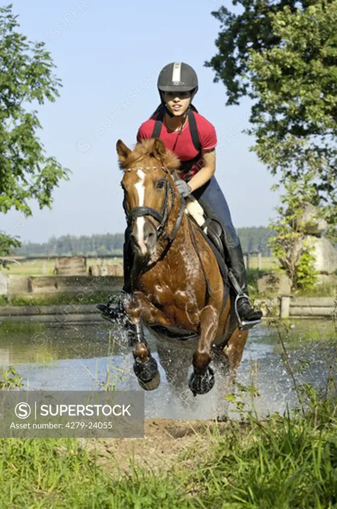 Girl on a German pony jumping out of the water