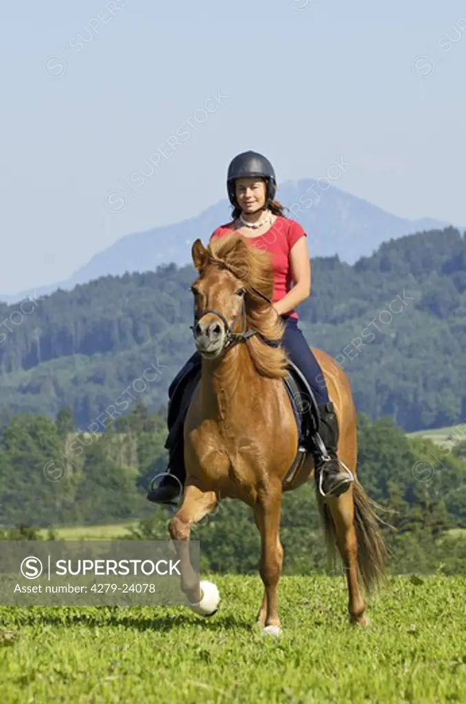 Girl riding tËlt on Icelandic horse