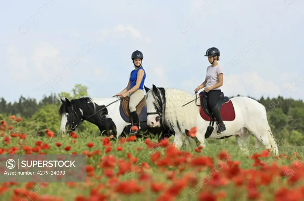 Two girls during a ride out on back of Irish Tinker horses