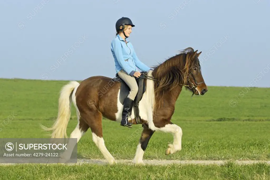 Girl riding on back of an Icelandic horse