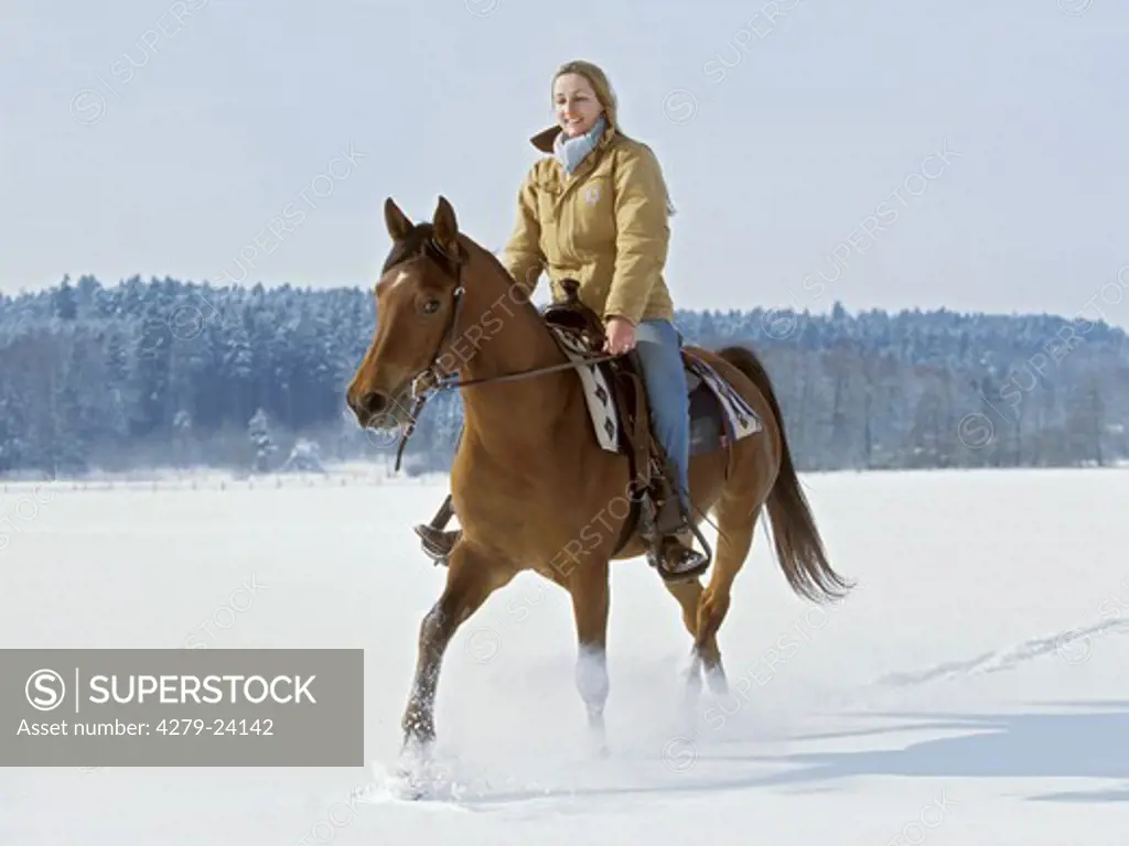 Young lady rider riding an Arabian horse western-style at winter