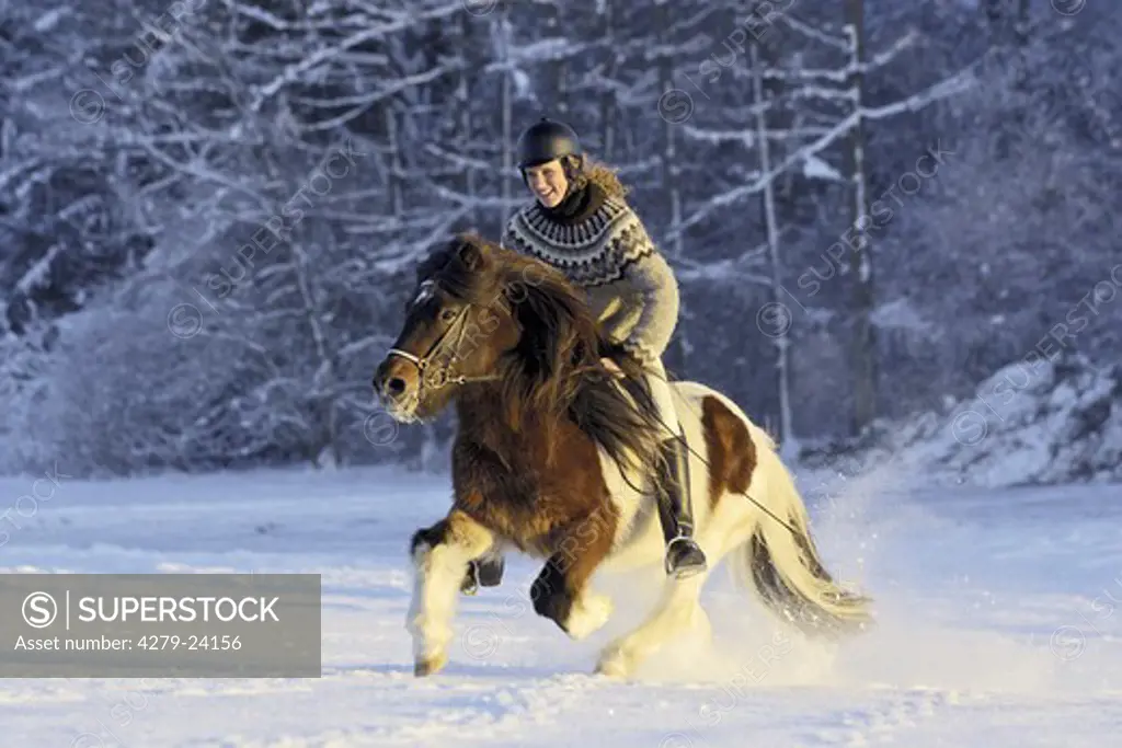 Young rider galloping on an Icelandic horse at a cold winter day at late afternoon