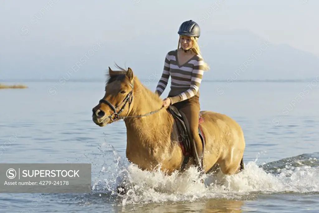 Girl riding on back of an Icelandic horse in the lake Chiemsee in southern Bavaria (Germany), in the background the alps are visible