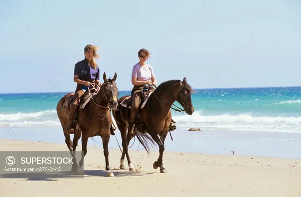 horse with riders on beach