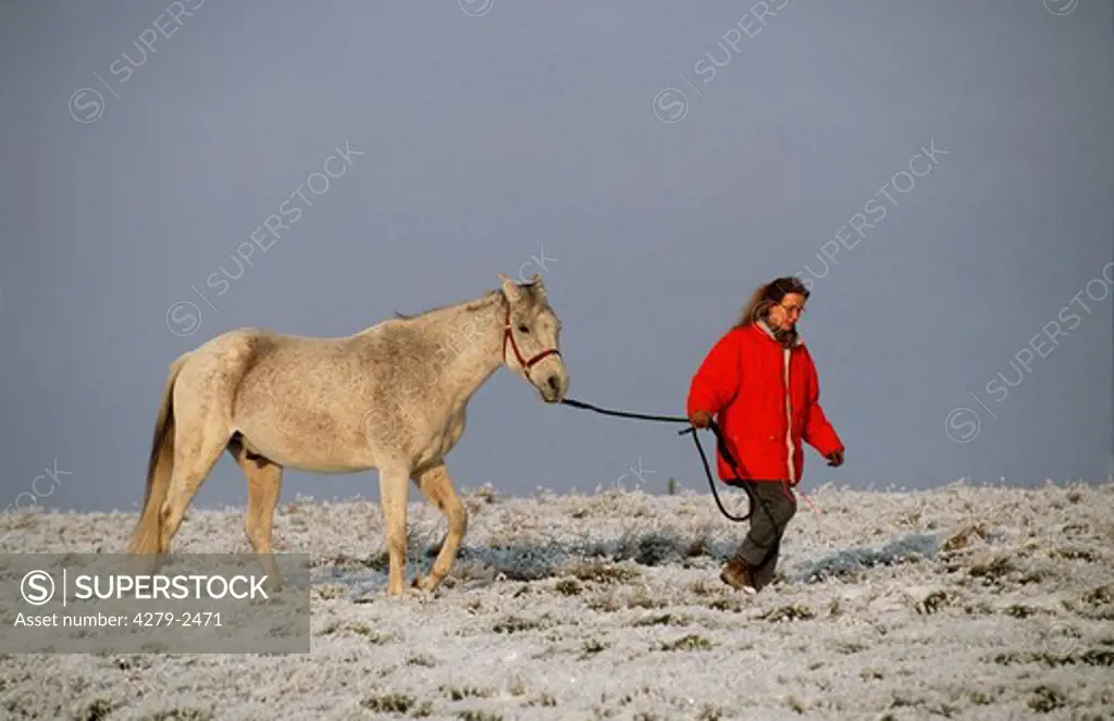 white horse with woman in winter