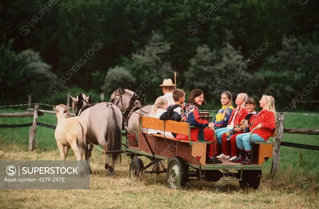 children in carriage