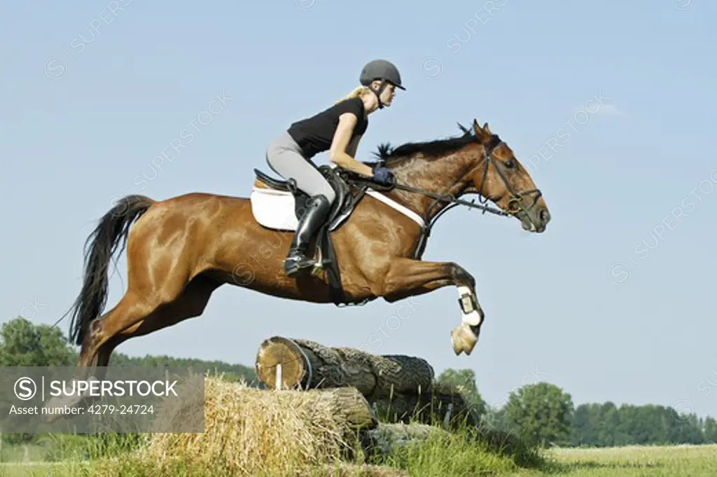 Young rider jumping on back of a German horse