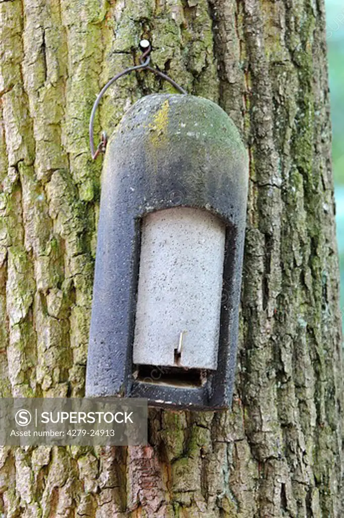 box for bats on tree
