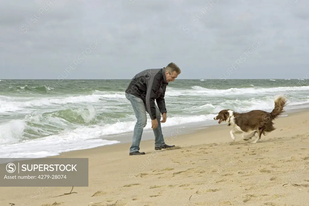 man and Border Collie dog at the beach