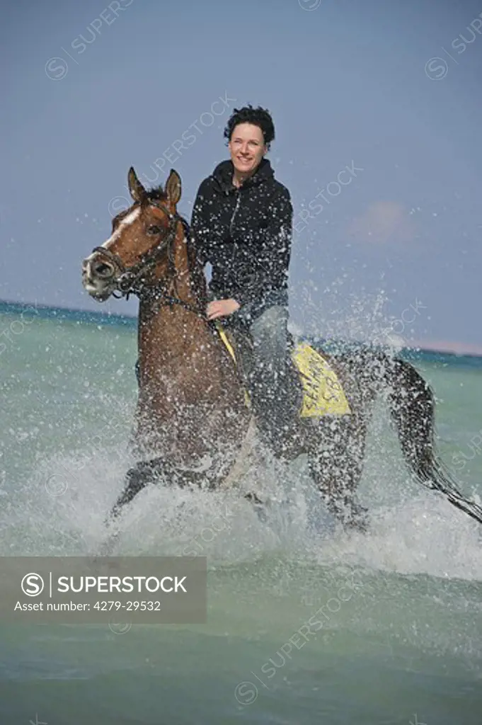 woman on Arabian horse - riding on water