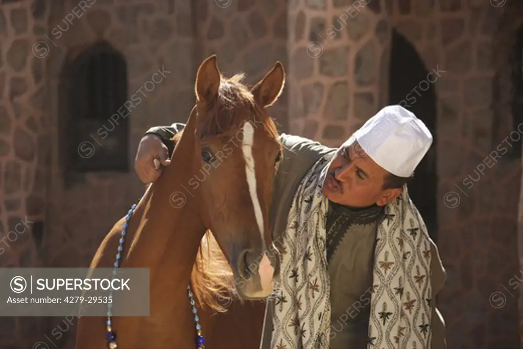 man with Arabian horse - portrait