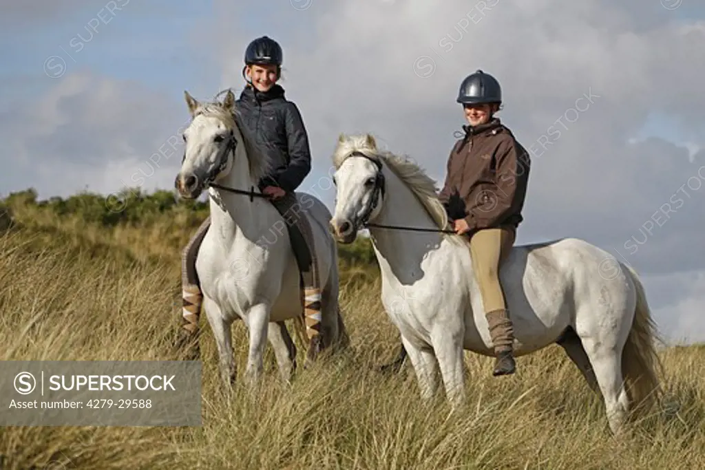 two riders on Connemara horses