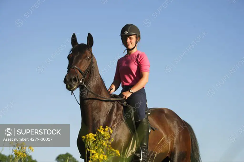 girl riding on Trakehner horse