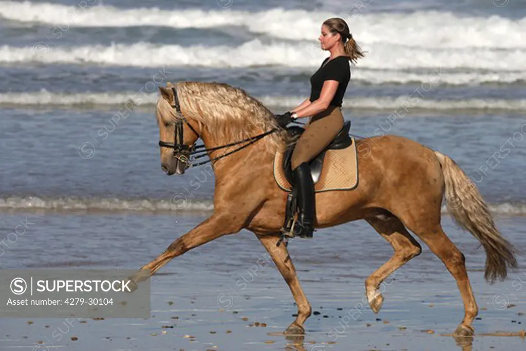 woman riding on Lusitano horse