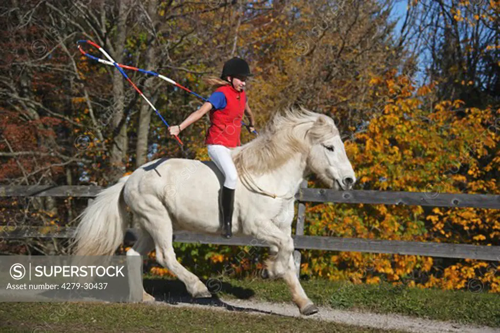 girl riding on Icelandic horse - jump rope