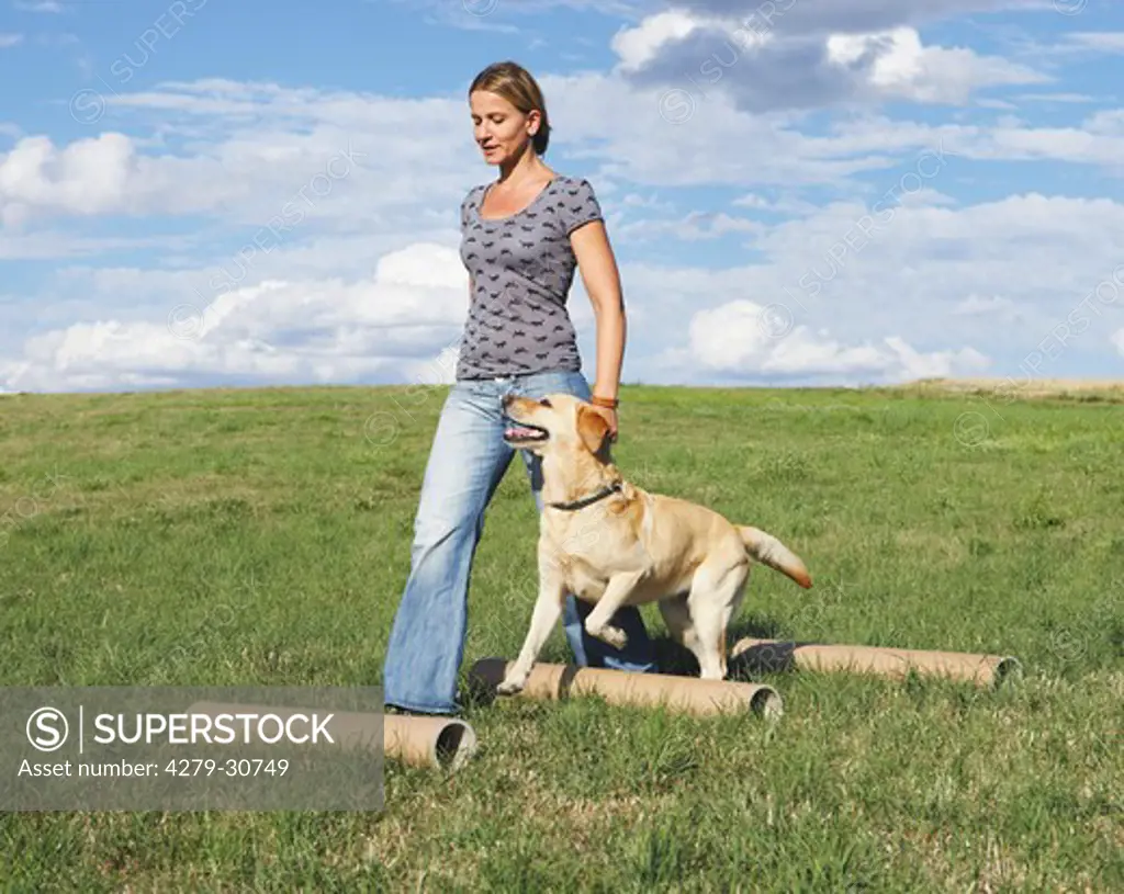 woman and Labrador Retriever dog walking over hurdles