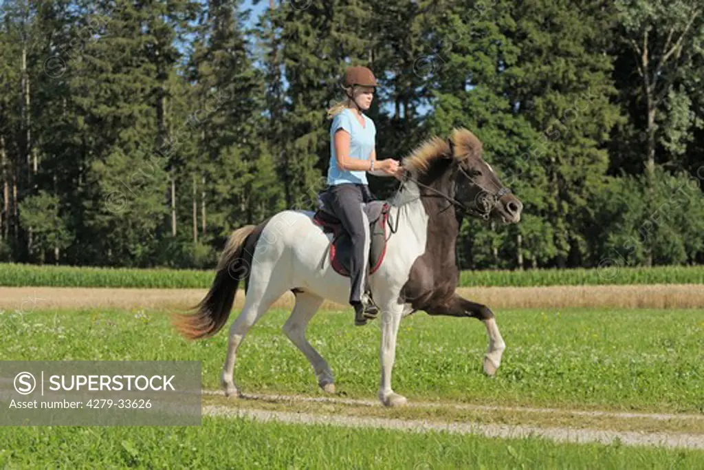 young woman riding on Icelandic horse