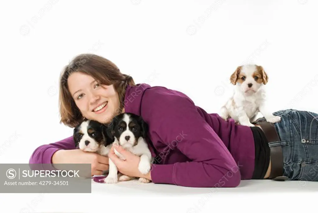 young woman with three Cavalier King Charles Spaniel puppies - cut out