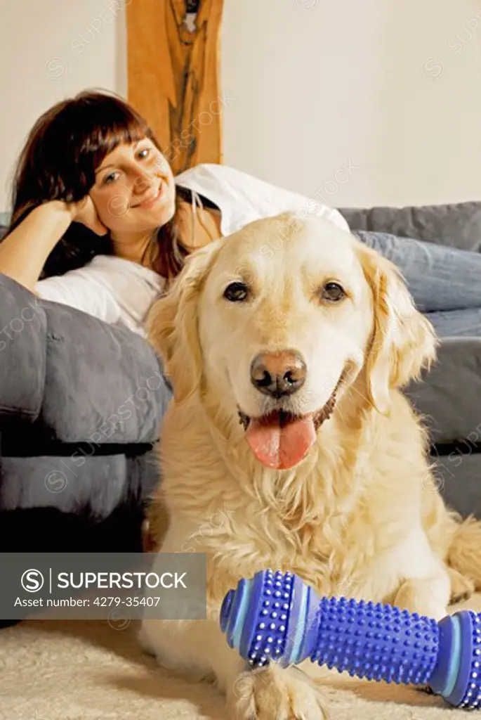Golden Retriever dog with its mistress in the living room