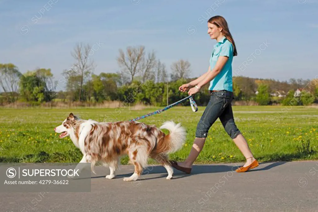 woman and Australian Shepherd dog - taking a walk